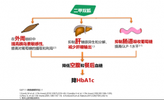 为何二甲双胍,始终都是降糖首选用药?