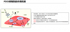 阳痿神器，海驰阿伐那非可以长期服用吗？